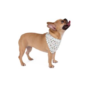 All Saints Collection Pet Bandana